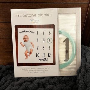 Milestone Blanket